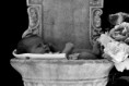 /album/children/dsc-9695-jpg1/