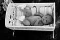 /album/children/dsc-9743cb-jpg/