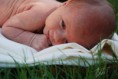 /album/children/dsc-9734-jpg/